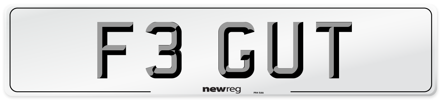 F3 GUT Number Plate from New Reg